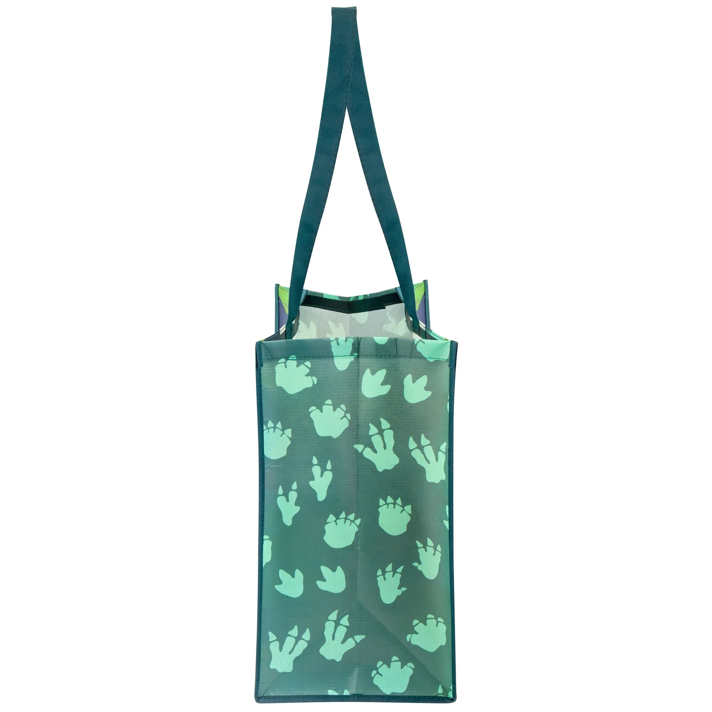 Large Recycled Gift Bags Dino